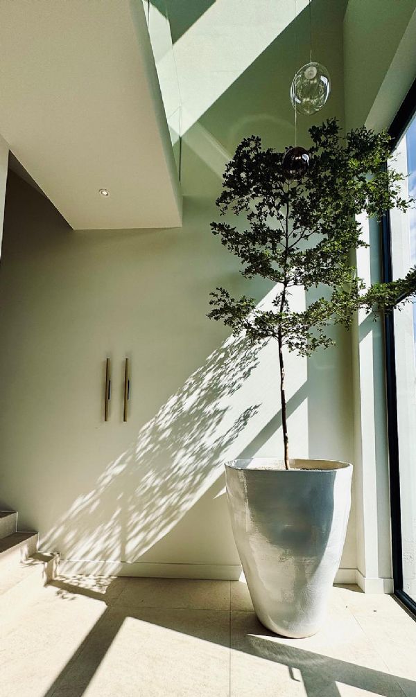 Home styling
